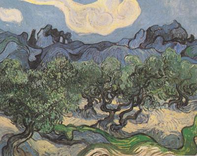 Vincent Van Gogh Olive Trees with the Alpilles in the Background (nn04) Spain oil painting art
